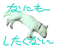 838934645
