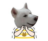 838934646