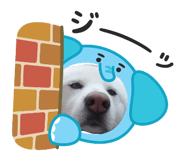 838934648