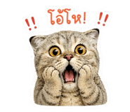 838935342