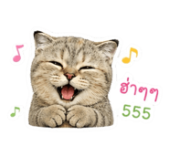 838935349