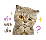 838935350