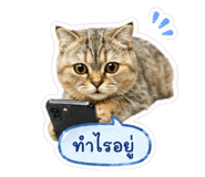 838935358