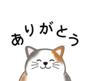 838953337
