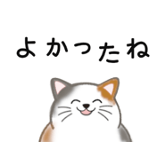 838953347