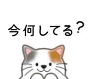 838953354