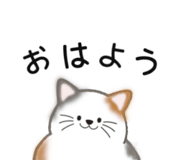 838953356