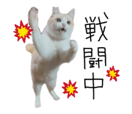 838955600