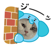 838956577