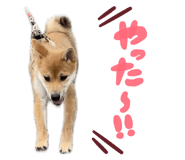 838957099