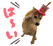 838957102