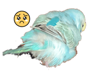 838957260