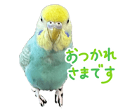 838957268