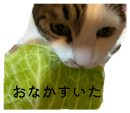 838958281