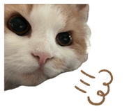 838958311