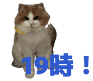 838958314
