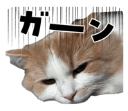 838958320