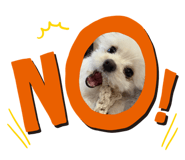 838958517