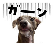 838958594