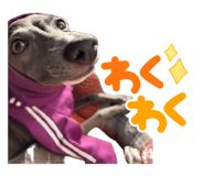 838958599