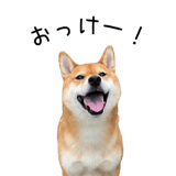 838969681