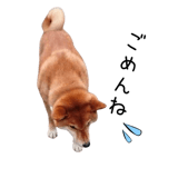 838969682