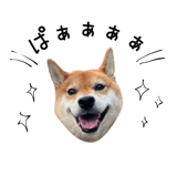 838969683