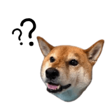 838969686