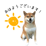 838969688
