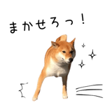 838969690