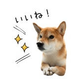 838969691