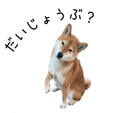 838969693