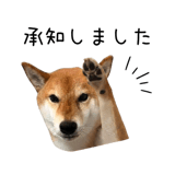 838969694