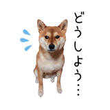 838969695