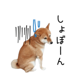 838969696