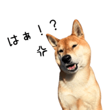 838969698
