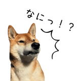 838969699