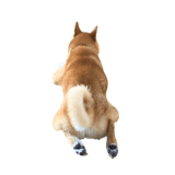 838969701