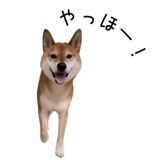 838969702