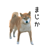 838969707