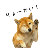 838969708
