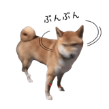 838969711