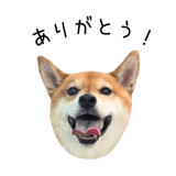 838969712