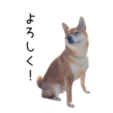 838969713