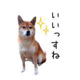 838969714