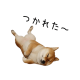 838969715