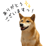 838969716