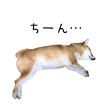 838969717