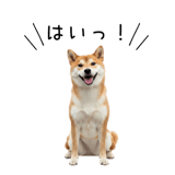838969720