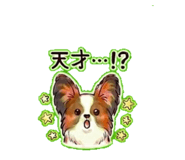 838970157